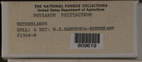 Image Associated With the Occurence